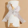 Teddy Bear Swaddle -Baby Outfit Shop 001937 476S24TED WHITE 00