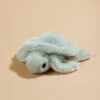 Baby Flippy Turtle